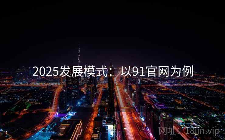2025发展模式:以91官网为例