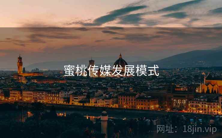 蜜桃传媒发展模式