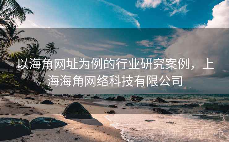 以海角网址为例的行业研究案例,上海海角网络科技有限公司