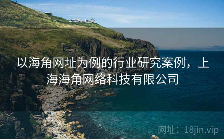 以海角网址为例的行业研究案例,上海海角网络科技有限公司