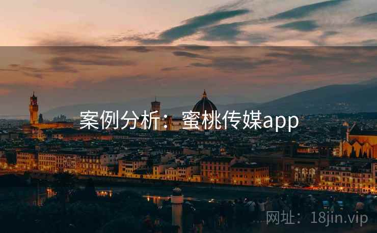 案例分析:蜜桃传媒app