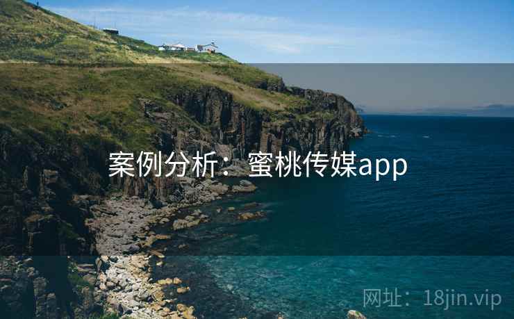 案例分析:蜜桃传媒app