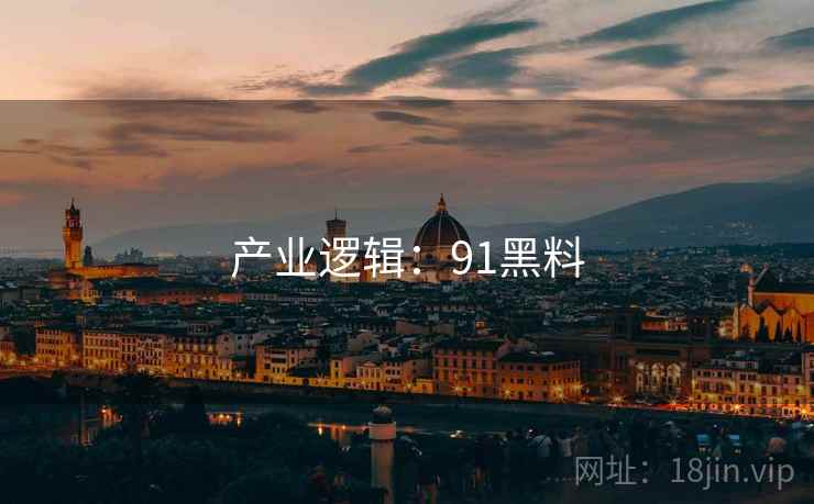 产业逻辑:91黑料