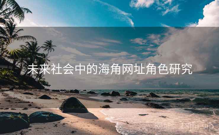 未来社会中的海角网址角色研究