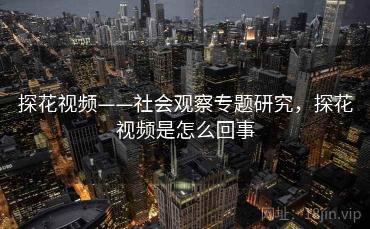 探花视频——社会观察专题研究,探花视频是怎么回事