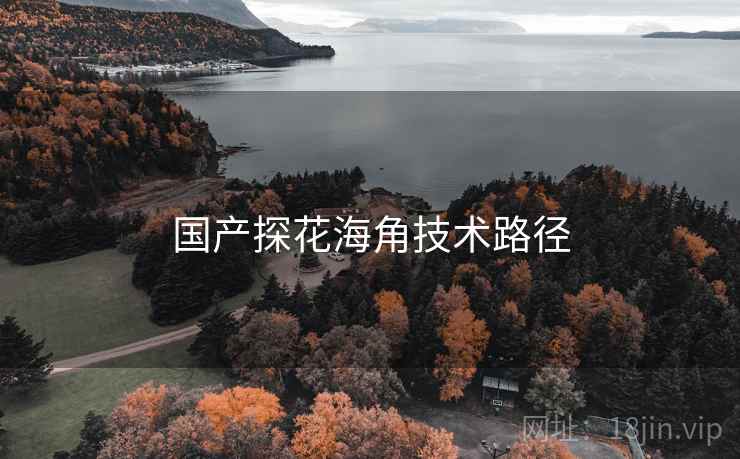 国产探花海角技术路径