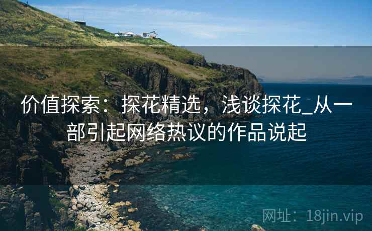价值探索:探花精选,浅谈探花_从一部引起网络热议的作品说起 第1张 价值探索:探花精选,浅谈探花_从一部引起网络热议的作品说起 第1张