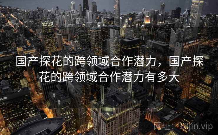 国产探花的跨领域合作潜力,国产探花的跨领域合作潜力有多大