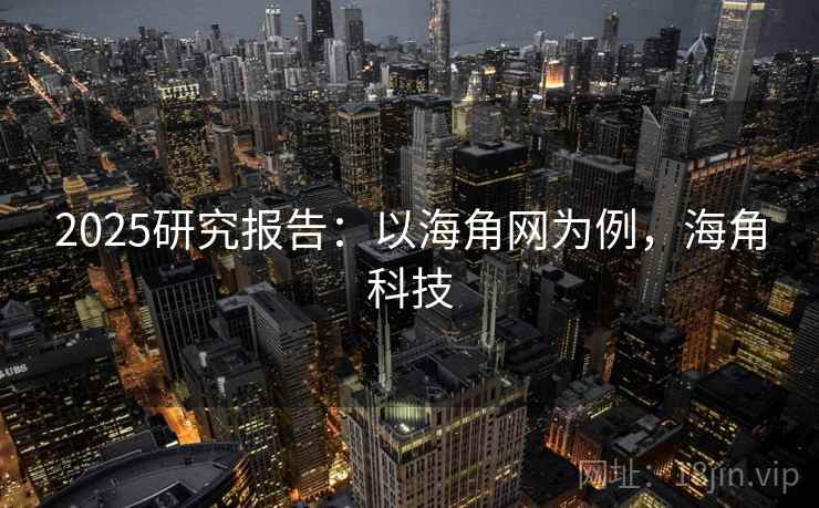 2025研究报告:以海角网为例,海角科技
