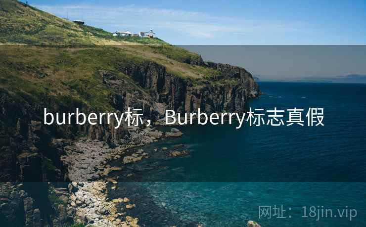 burberry标,Burberry标志真假