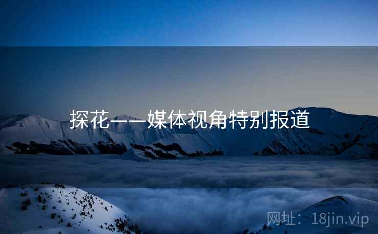 探花——媒体视角特别报道