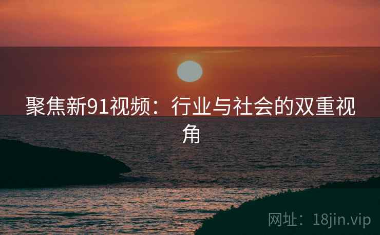聚焦新91视频：行业与社会的双重视角