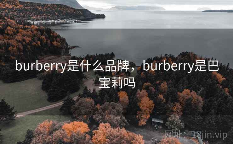 burberry是什么品牌,burberry是巴宝莉吗