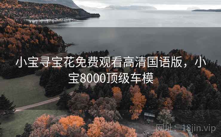 小宝寻宝花免费观看高清国语版,小宝8000顶级车模